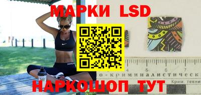 шишки Жуковский