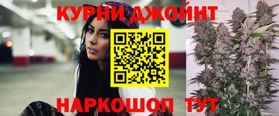 шишки Жуковский