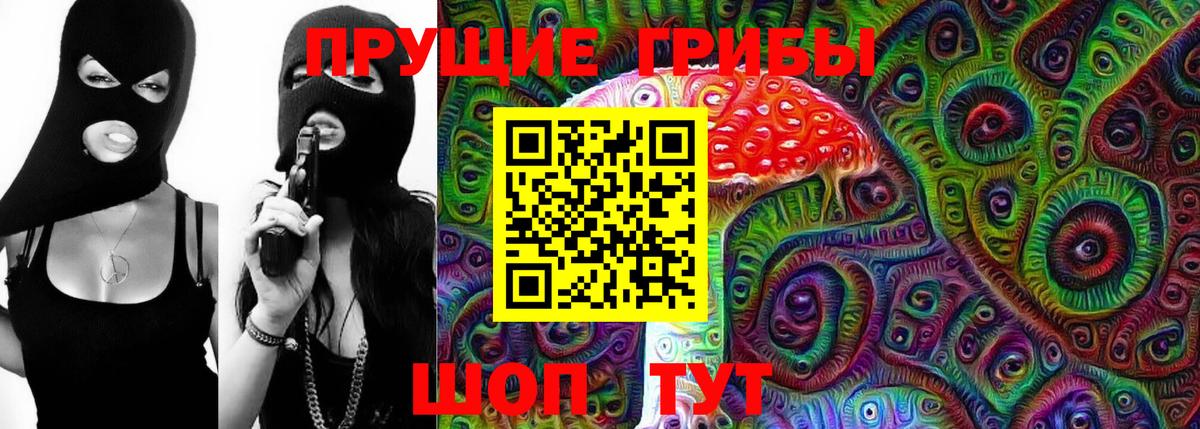Псилоцибиновые грибы Psilocybe  где найти   Кыштым  Галлюциногенные грибы MAGIC MUSHROOMS  Вход с VPN 